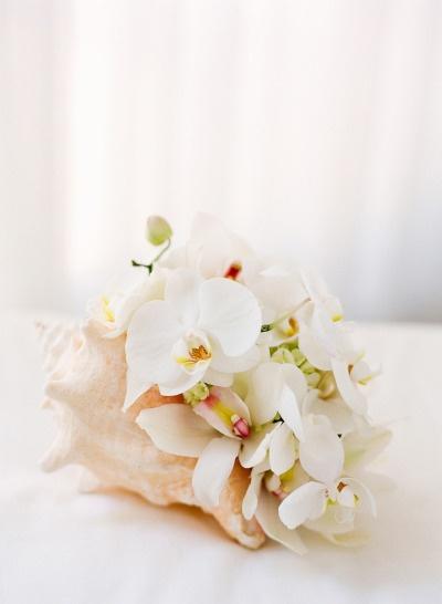 Wedding - Orchid Bouquet In Seashell