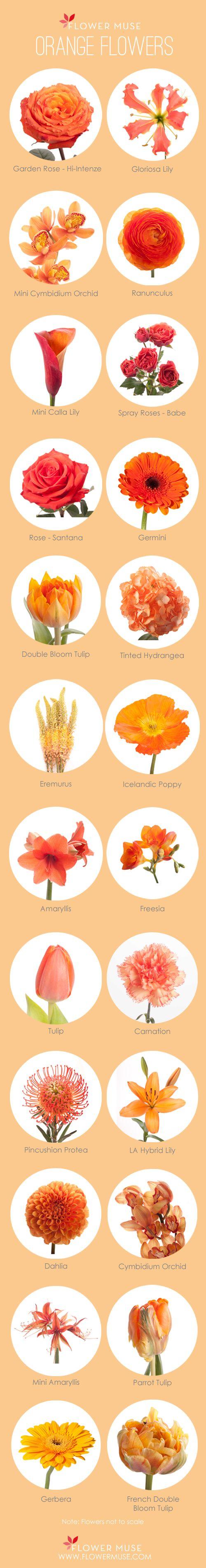 Hochzeit - Our Favorite: Orange Flowers - Flower Muse Blog