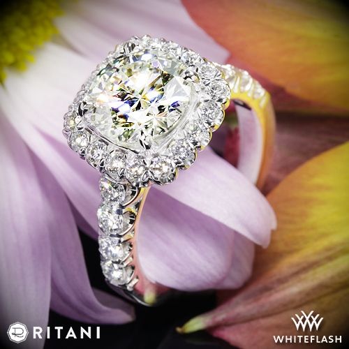 Hochzeit - 18k White Gold Ritani 1RZ2817 Halo Diamond Engagement Ring