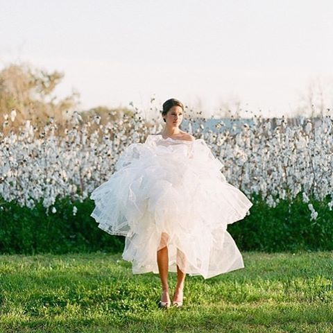 Свадьба - Hayley Paige On Instagram: “Spring Has Sprung     @corbingurkin”