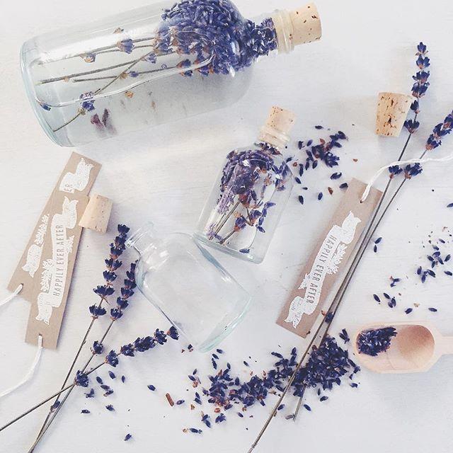 Wedding - Rabbit Rabbit Crew On Instagram: “not The Usual Winter Herb... But Dried, Makes For A Tasty Icy Vodka Infused Favor ::link In Bio For All Of Our Seasonal Flavors::”