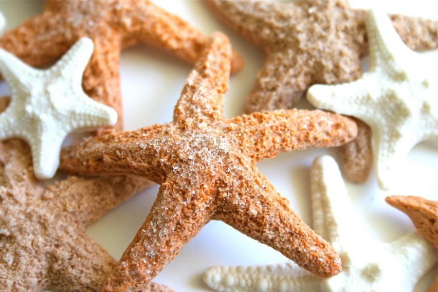 Wedding - Edible Starfish / Edible Echinoderms / Edible Sea Stars - 16 - cake decoration or stand alone decorative sweet
