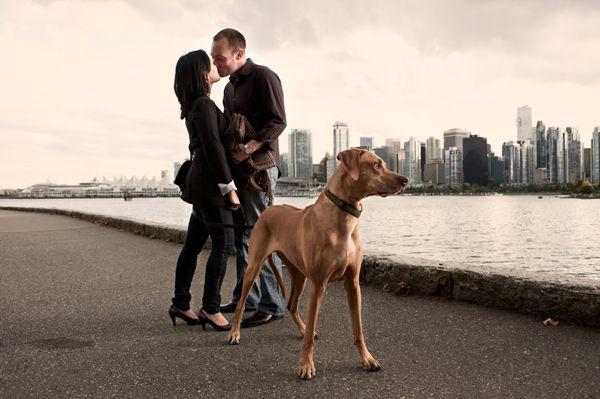 Wedding - Best Of The Best Engagement Photos Adorable Animals