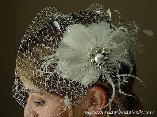 Hochzeit - Birdcage Veil With Feather Head Piece, Angled Birdcage Veil with Rare Natural White Peacock Eyes Feather Fascinator