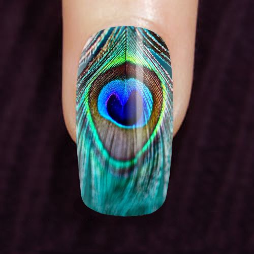 Hochzeit - Peacock Feather Custom Finger Nails