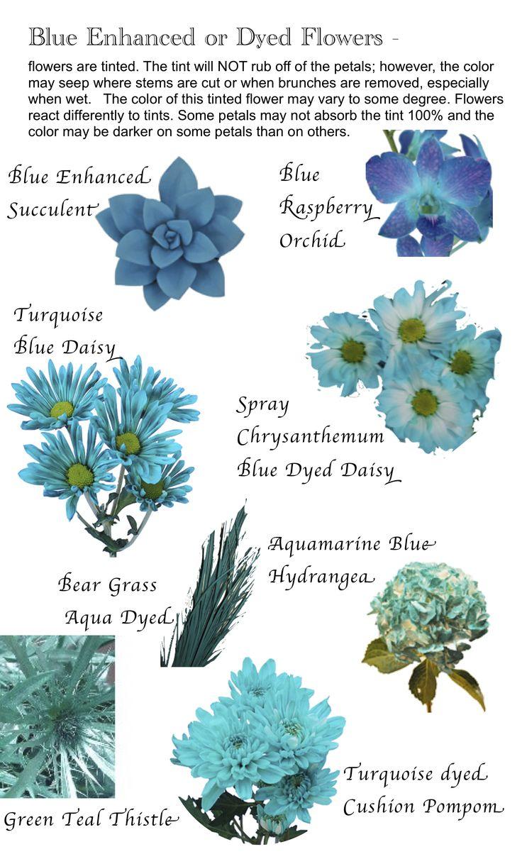 Свадьба - Flower Names By Color