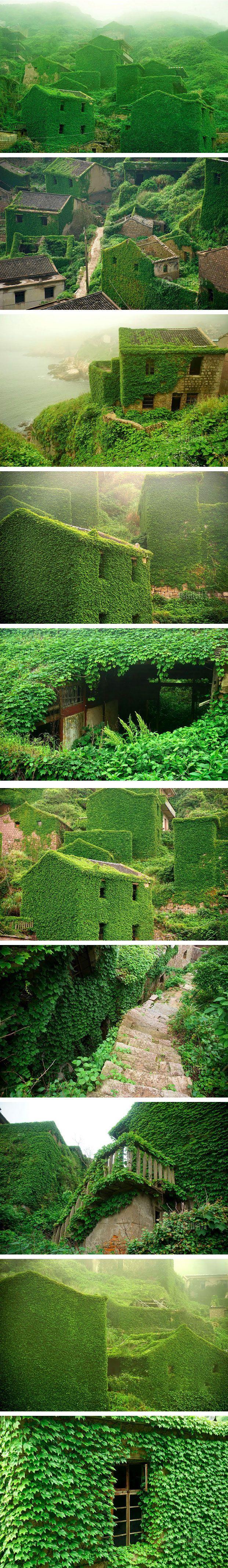 Hochzeit - Photographer Captures Amazing Images Of An Abandoned Chinese Fishing Village Being Reclaimed By Nature