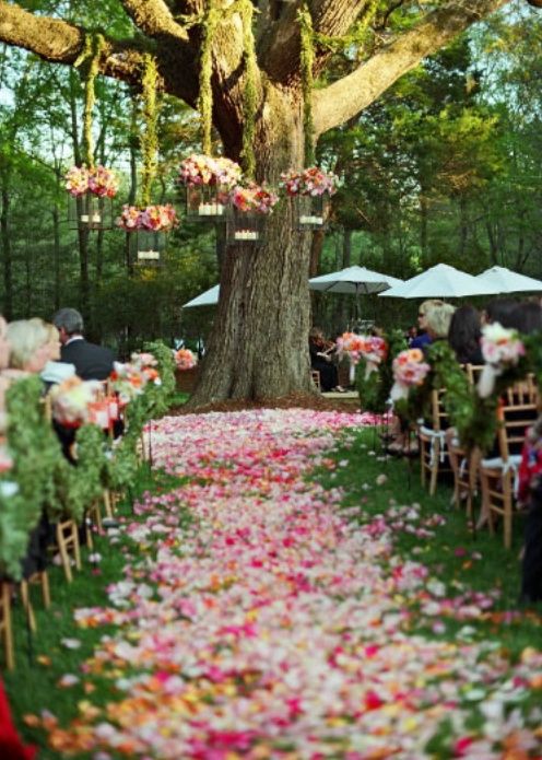 Hochzeit - Stunning Wedding Tree Décor Ideas