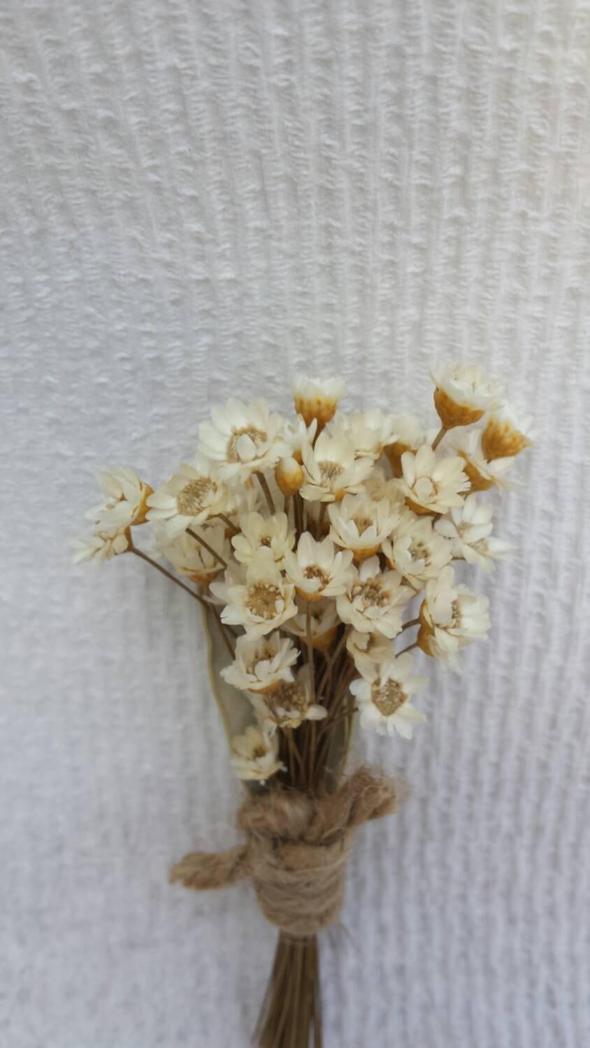زفاف - Rustic Flower Boutonniere White Flowers For Wedding or Prom