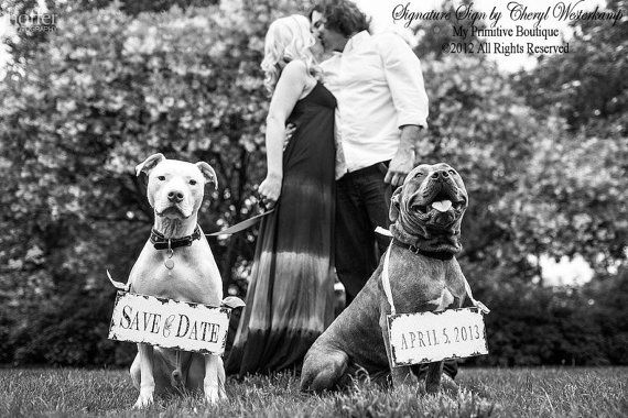 Wedding - SAVE The DATE Sign Set For The DOGS , Vintage Photography , Photo Props , Vintage Wedding Signs