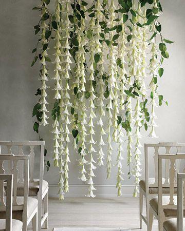 Mariage - Lily And Leaves Backdrop