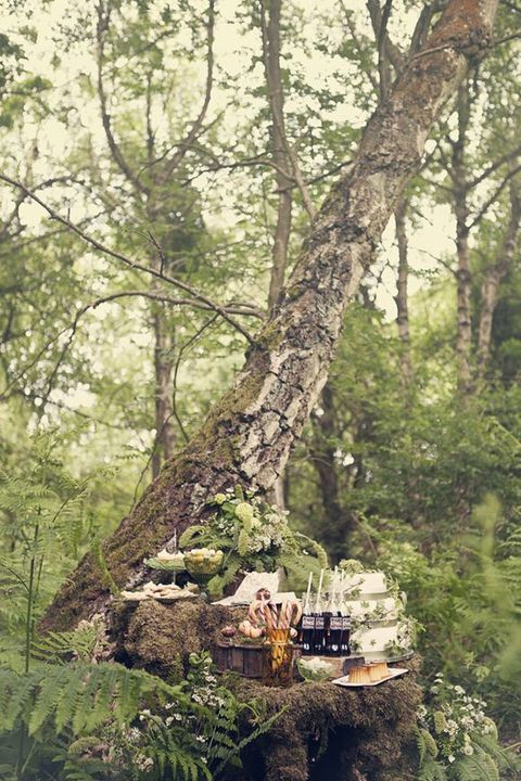 زفاف - 46 Ethereal Spring Woodland Wedding Ideas