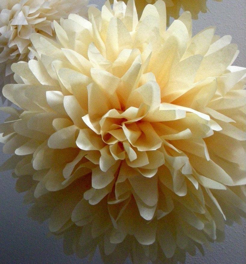 Mariage - CHAMPAGNE / 1 tissue paper pom / wedding decorations / diy / birthday party decor / baptism party decorations / cream decorations / pompoms