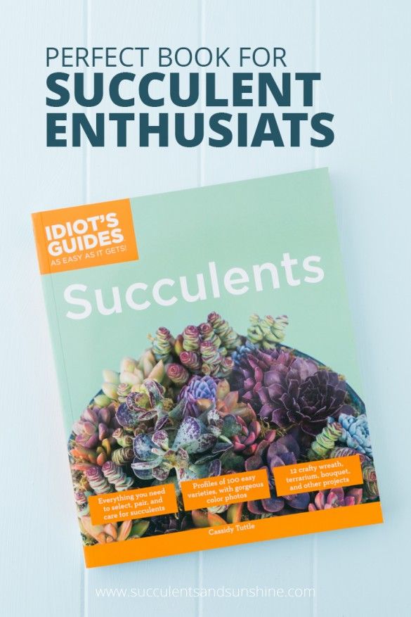 Mariage - Idiots Guides: Succulents