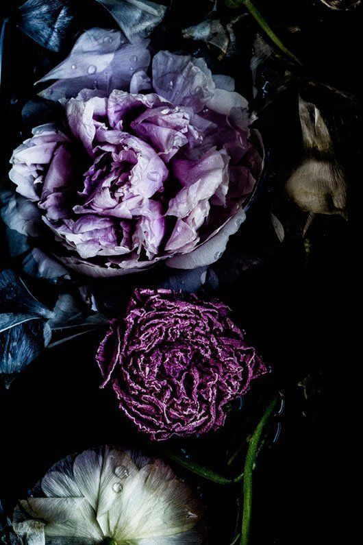 Mariage - Dark Moody Winter Florals