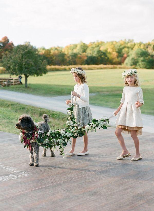 Hochzeit - 10 Adorable Photos Of Dogs In Weddings