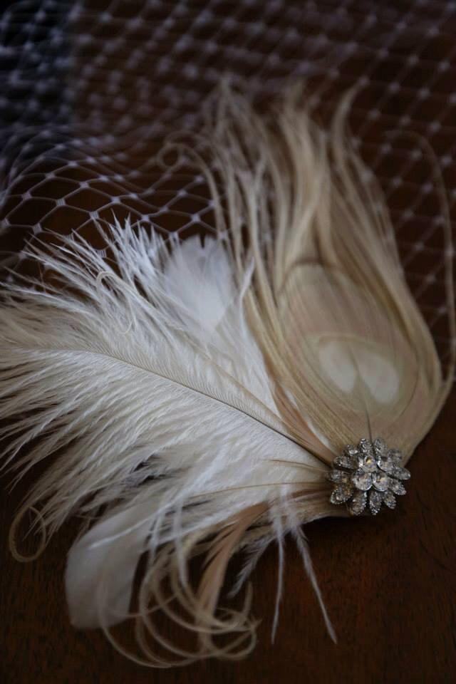 Wedding - Birdcage Veil ,Champagne peacock ,Feathers Fascinator,(2 ITEMS),Champagne  bridal Feathers Fascinator, Hair Accessories,bridal head piece,