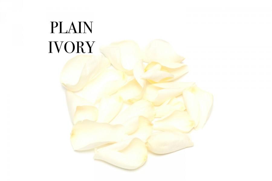 زفاف - Ivory wedding confetti Rose petals, Natural biodegradable confetti 1 litre (Plain ivory)