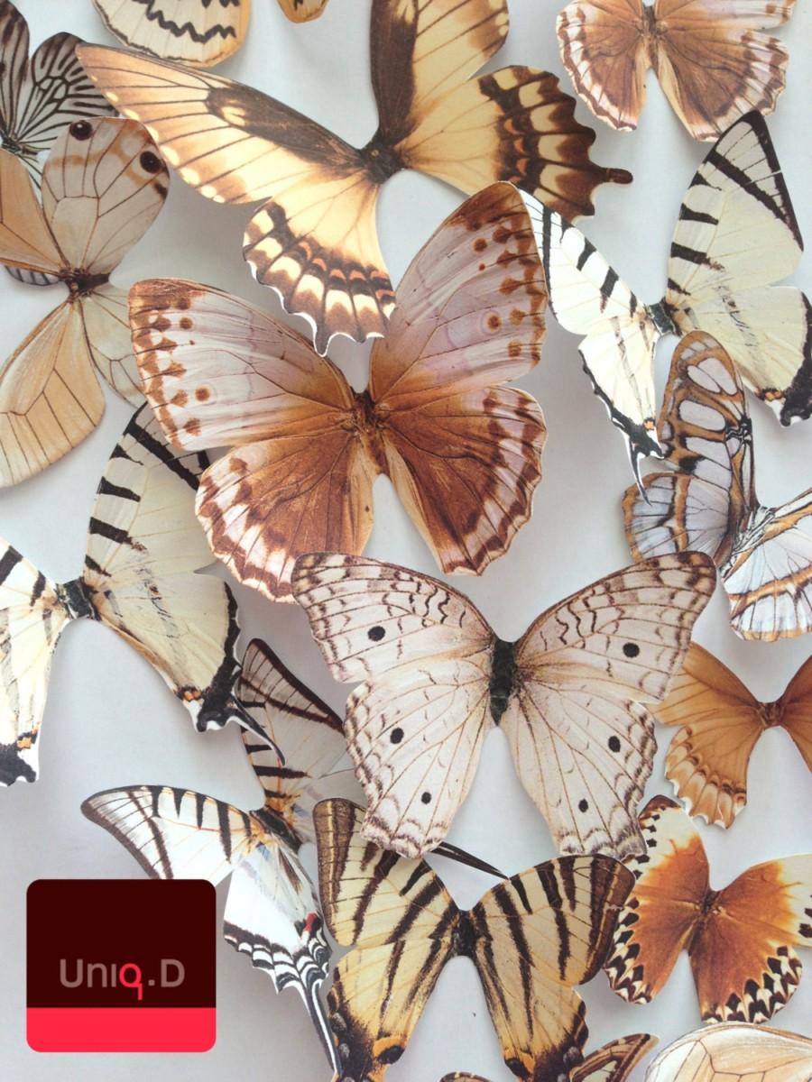 Hochzeit - NEW ITEM 3D decorative butterflies - wall decoration - butterfly embellishment - 3D butterflies wall art by Uniqdots on Etsy