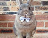 Wedding - Wedding Bunny by Nicole on Etsy