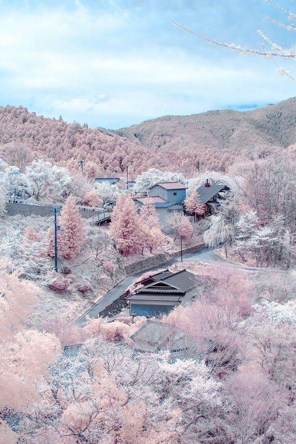 زفاف - Mount Yoshino, Japan