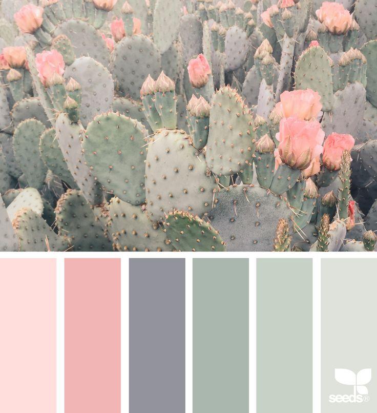 Hochzeit - Cacti Color