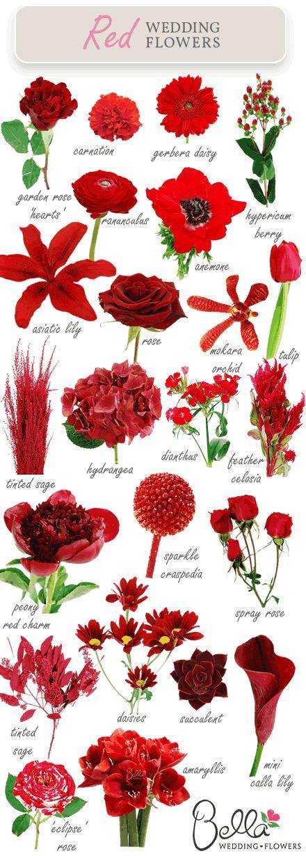 زفاف - The Latest Color Trend For Wedding Flowers…..RED