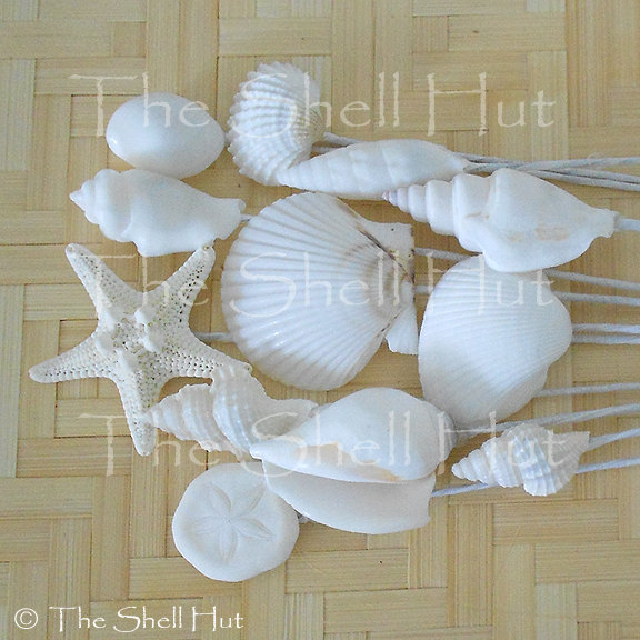 زفاف - Seashell Bridal Bouquet Picks Beach Wedding Party Floral Arrangement Flower Inserts Nautical Tropical Seaside Coastal