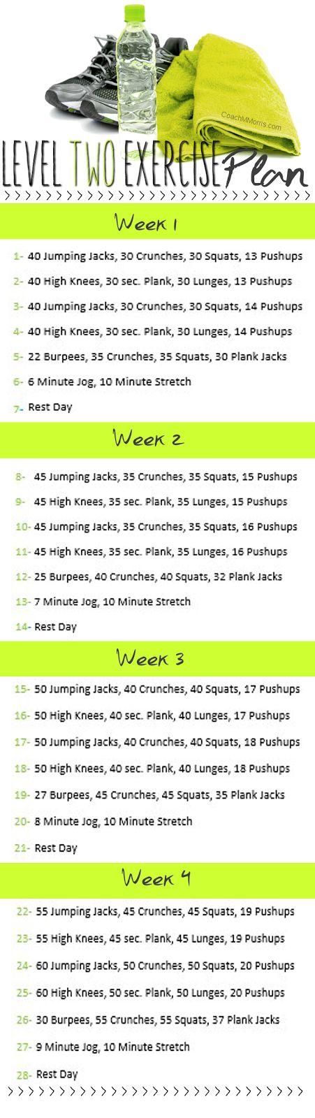 Mariage - To Insanity & Back: Level TWO Exercise Plan