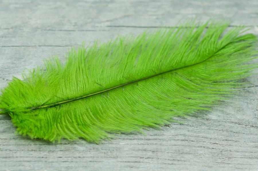 Wedding - Large Ostrich Feather, Neon Green Natural Feather, 10" Feather, Boho, Findings, 3pics Dyed Feathers, Wedding Accessories, Bohemian Findings