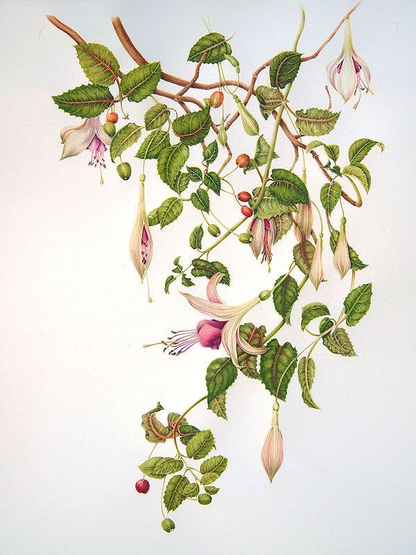 Mariage - Fuchsia 