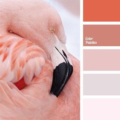 Wedding - Color Palette Ideas 