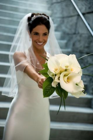 Hochzeit - Elbow Length  Single Layer Wedding Bridal Veil