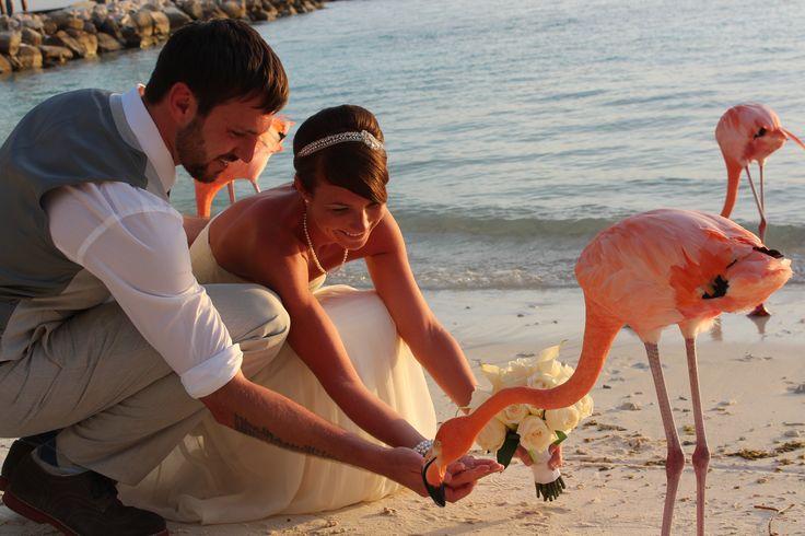 Свадьба - Aruba Renaissance Hotel 