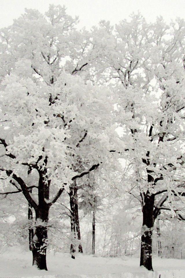 Свадьба - 12 Enchanting Winter Wonderlands