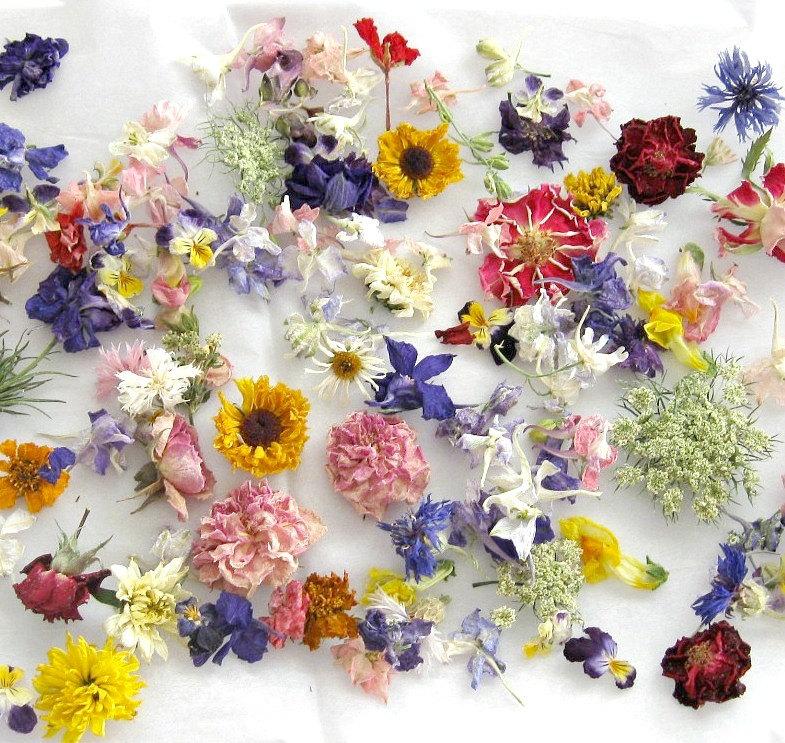 Свадьба - Dried Flowers, Whole Flowers, Real, Confetti, Wedding Confetti, Real Flowers, Table Decor, Flower Girl, Gift Box, Daisies, 200 Dry Flowers