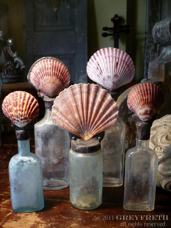 زفاف - Shells and Bottles