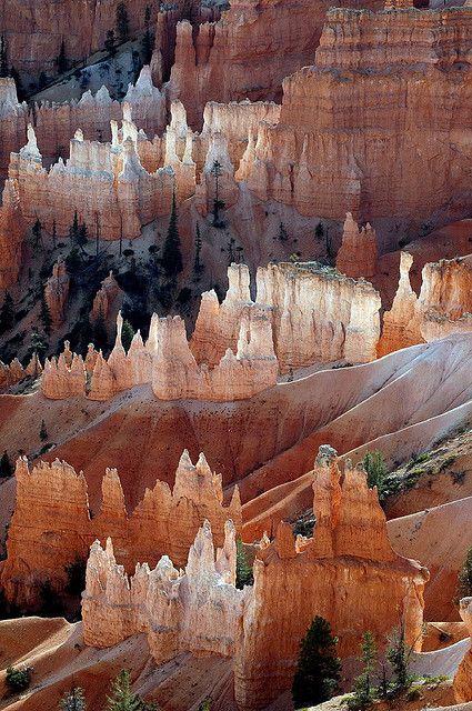 Mariage - Day Tripping With Rick – Bryce Canyon