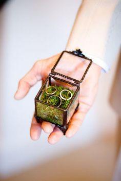 Свадьба - 12 Ring Bearer Alternatives With A Dash Of Eco-Chic -