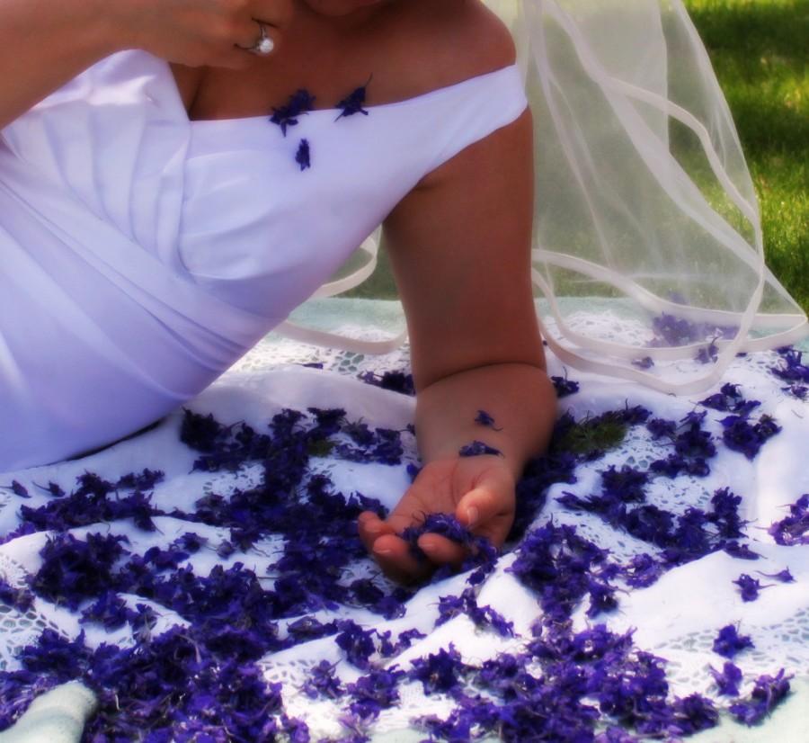 Hochzeit - Wedding Confetti, Dry Flowers, Purple Larkspur, Wedfing Decorations, Blue Larkspur, Bulk Flowers, Decoration, 30 cups of  Larkspur Flowers