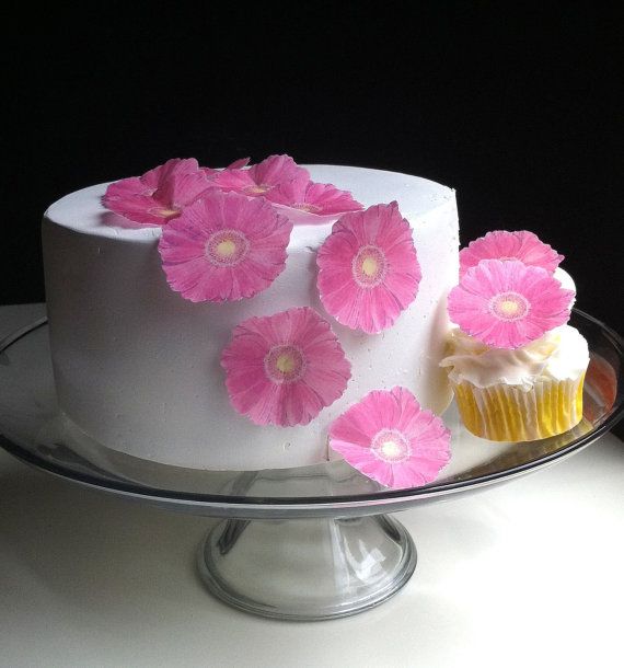 Hochzeit - The Original EDIBLE Gerbera Daisies - Pink - Cake & Cupcake Toppers - Food Decoration