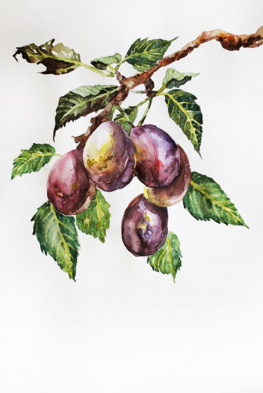Hochzeit - ORIGINAL Watercolor Painting Plums watercolor plum Art decor for kitchen plums on the tree Home Decor plums on the branch OOAK