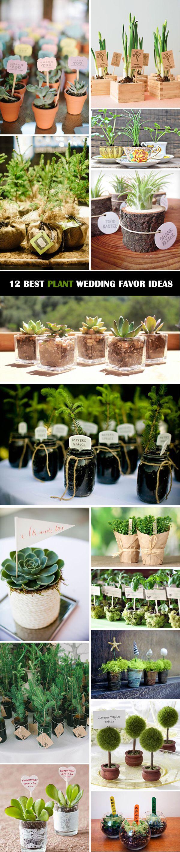 Wedding - 12 Ultimate Great Ideas For Lovely Plant Wedding Favors