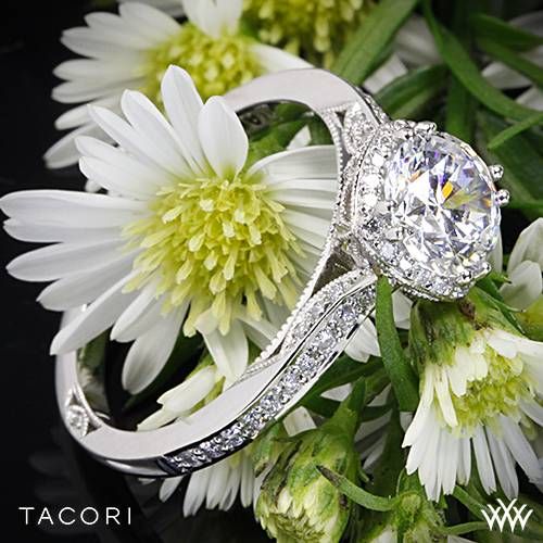 Wedding - 18k White Gold Tacori 2620RD Dantela Crown Diamond Engagement Ring For 1ct Center