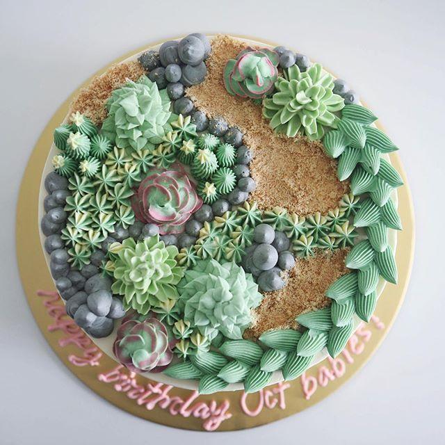 Hochzeit - @ediblesbakeshop On Instagram: “Got Yourself Into A Prickly Situation? Fear Not, Just Eat It Up!    cam food …”