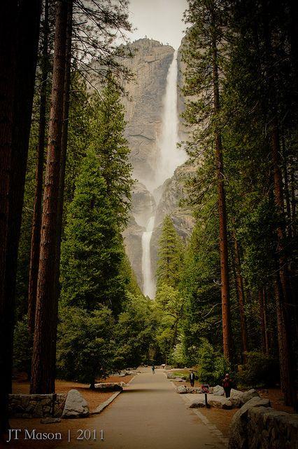 Свадьба - Yosemite National Park