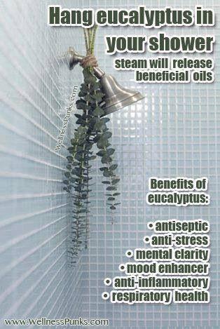 زفاف - Eucalyptus In The Shower