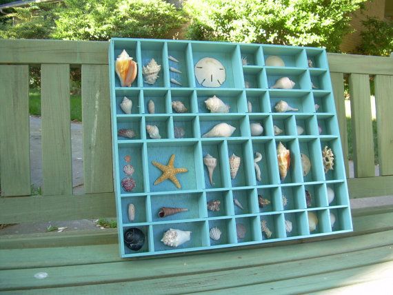 Mariage - Shell Collection In A Turquoise Printer's Tray