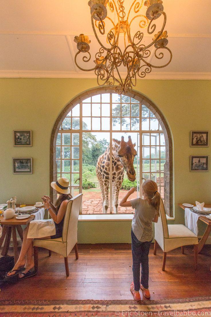 Mariage - A Stay At Giraffe Manor