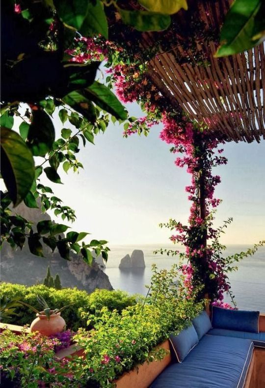 Hochzeit - Island Of Capri - Honeymoon